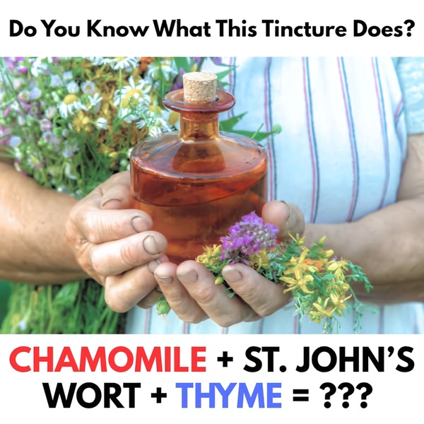 A 1:1 image format featuring a person holding a glass bottle of herbal tincture surrounded by fresh botanical ingredients with a question-based hook.